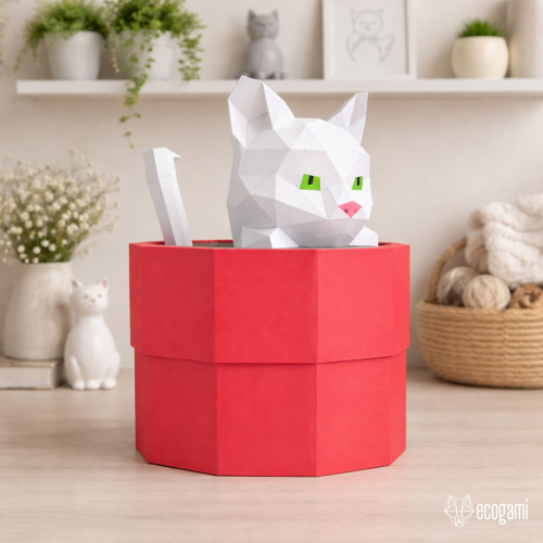 Cat box Cat box